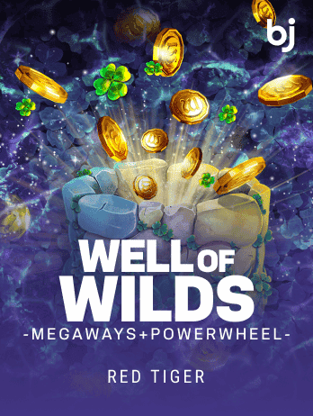 Well of Wilds MegaWays + PowerWheel game thumbnail